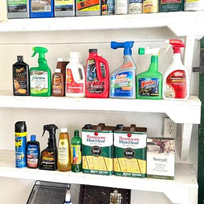 Paint, Polish, and Chemical Lot
