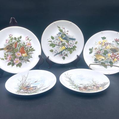 (5) Decorative Bird Plates