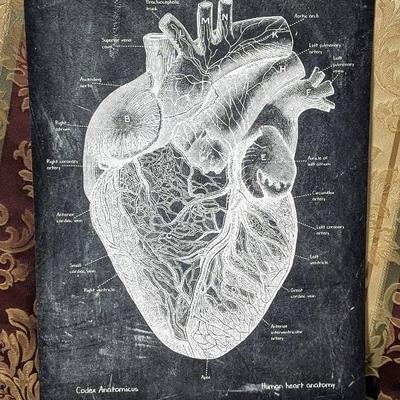 Heart Anatomy Art