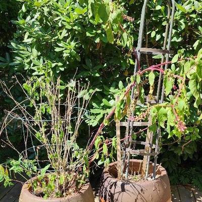 Pair of Large Ceramic Patio Planters W/ Copper Plant Cage And More!