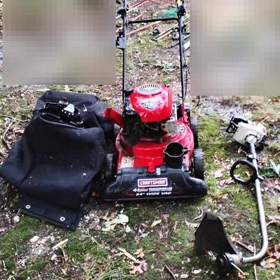 Craftsman Mower With Bags & Ryoki Weed Whacker 