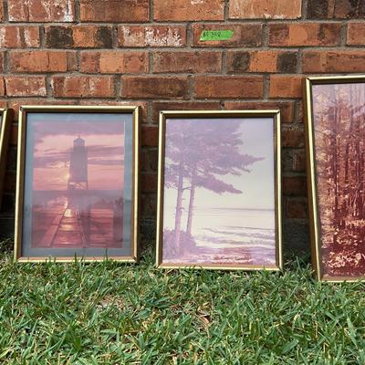 BF348 Framed Photographs