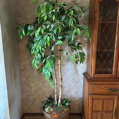 BF111 72” Large Fake Mini Birch Tree W/ Basket Planter