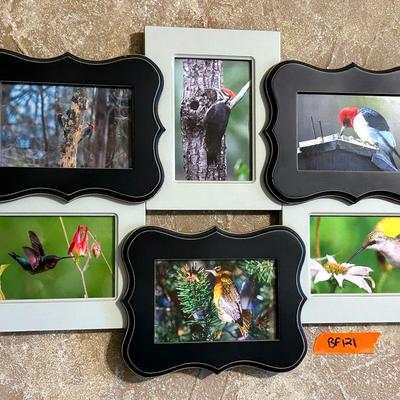 BF121 Framed Hummingbird & Woodpecker College