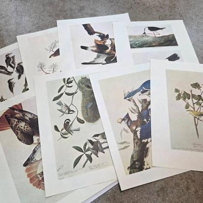 Sale Photo Thumbnail #314