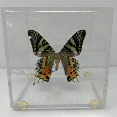 Sale Photo Thumbnail #62