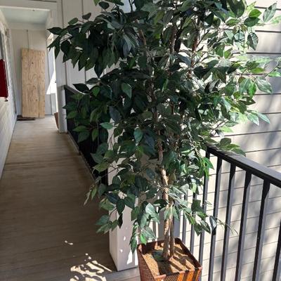 Sale Photo Thumbnail #129: faux tree $50