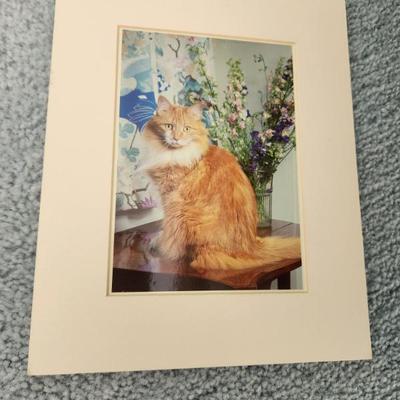 Sale Photo Thumbnail #571