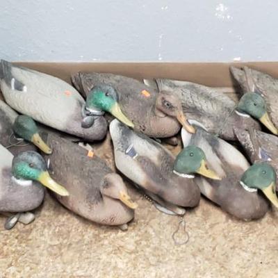 Sale Photo Thumbnail #254