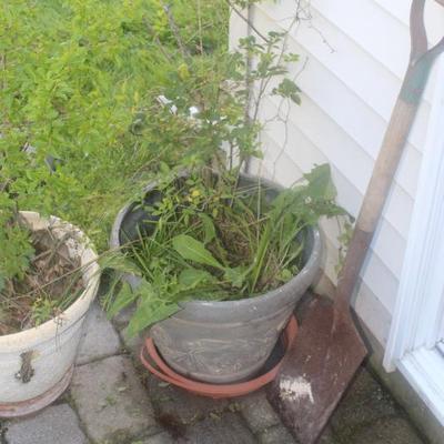 Sale Photo Thumbnail #71
