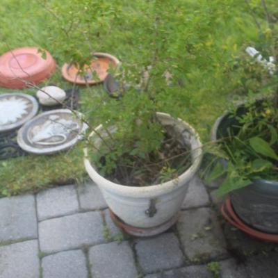 Sale Photo Thumbnail #70