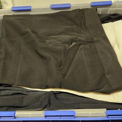 Size 4 Dress Pants