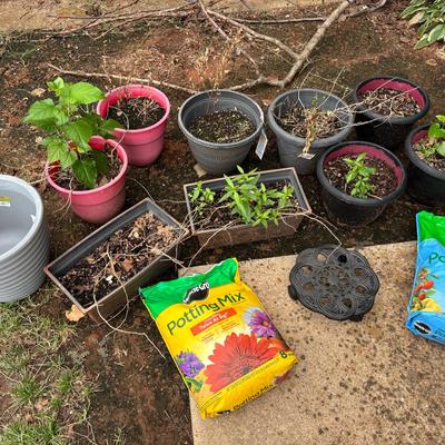 Pots For Planting