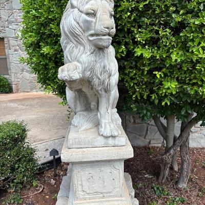 Lion #2