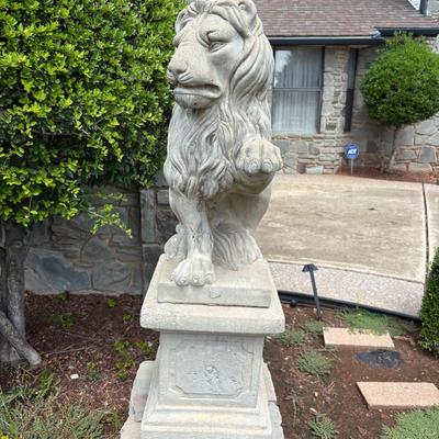 Lion #1