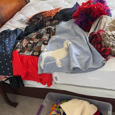Halloween Costume Mystery Assortment