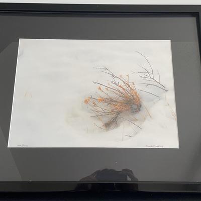 Framed Photo Of "Two Seasons" By David Waldrop