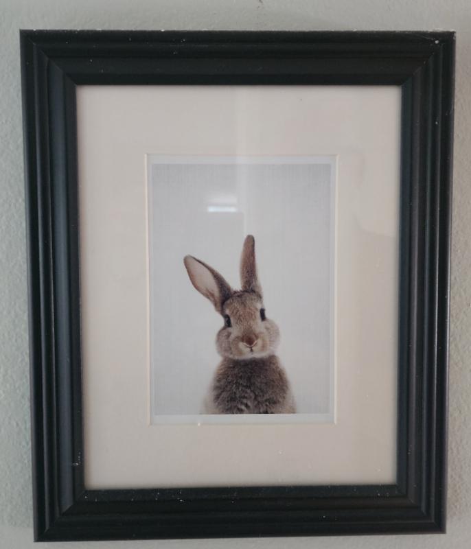 Sale Photo Thumbnail #54