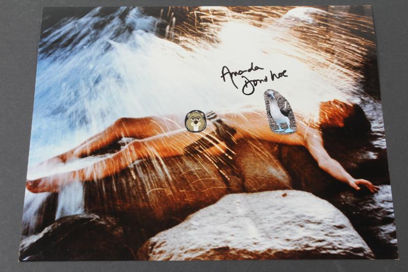 Sale Photo Thumbnail #17