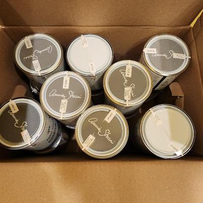 Annie Sloan Paint #10
