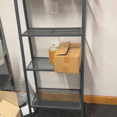 Storage/shelving ladder
