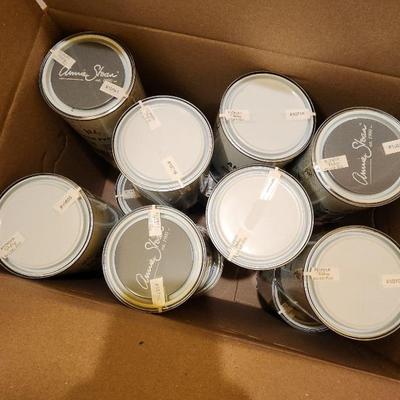 Annie Sloan Paint #11