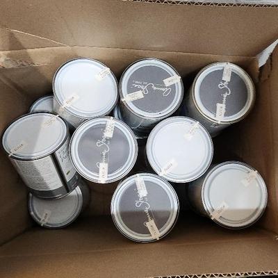 Annie Sloan Paint #14