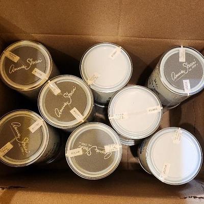 Annie Sloan Paint #12