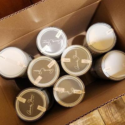 Annie Sloan Paint #7