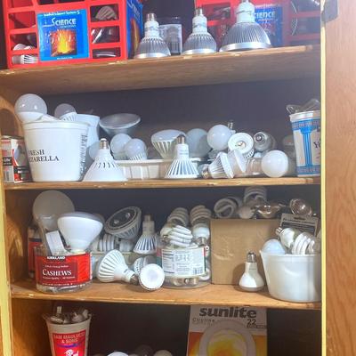 Lightbulbs -All Shapes & Sizes 