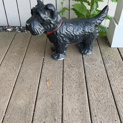 Collection Of Yorkies Artifacts 