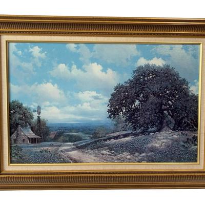 Beautiful Big Oak Tree By Cabin 