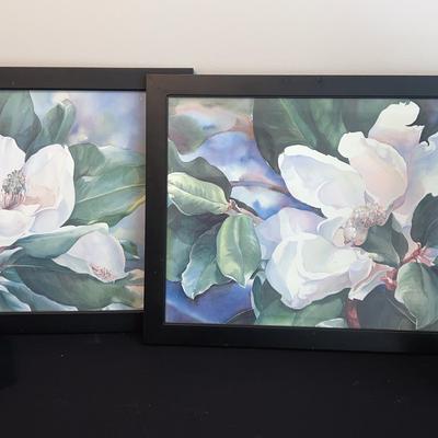Sweet Magnolia