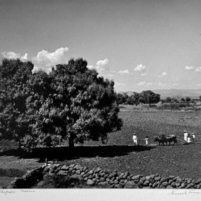 Sale Photo Thumbnail #67