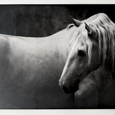 Sale Photo Thumbnail #54