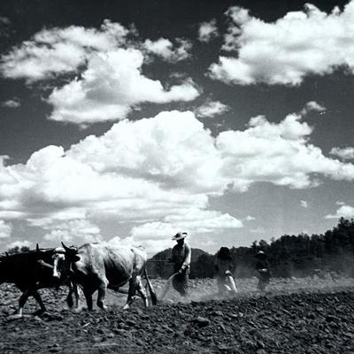 Sale Photo Thumbnail #36