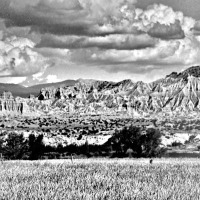 Sale Photo Thumbnail #64