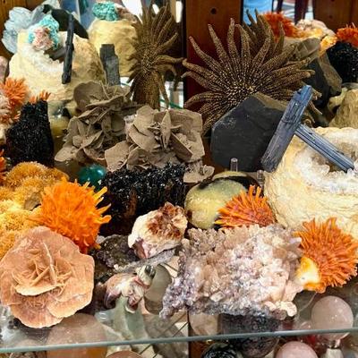 Sale Photo Thumbnail #73