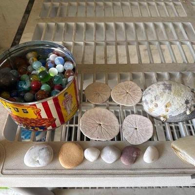 9510 • marbles, rocks, sand dollars, and sea shells