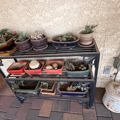 Sale Photo Thumbnail #386