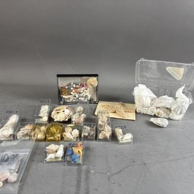Sale Photo Thumbnail #184