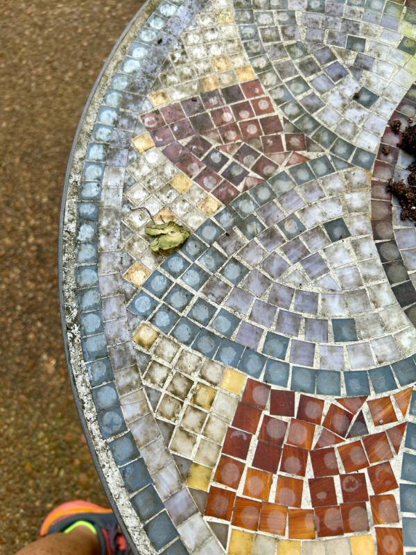 Sale Photo Thumbnail #245