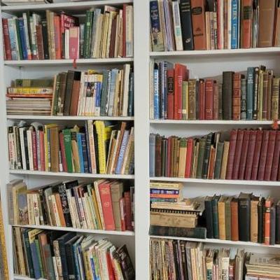 Sale Photo Thumbnail #21: More books