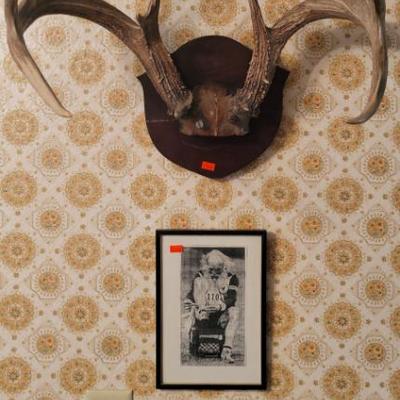 Sale Photo Thumbnail #25: Nice Rack