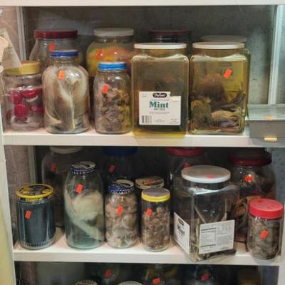 Sale Photo Thumbnail #109: Fly Tying Gear! 