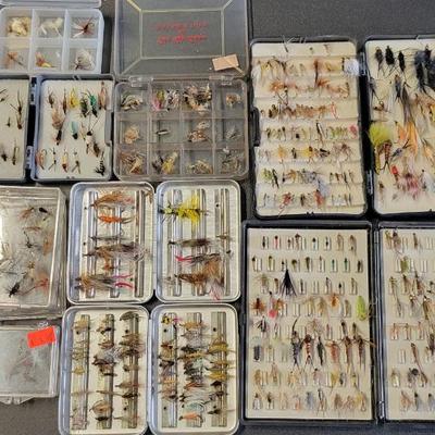 Sale Photo Thumbnail #193: Flys or My!