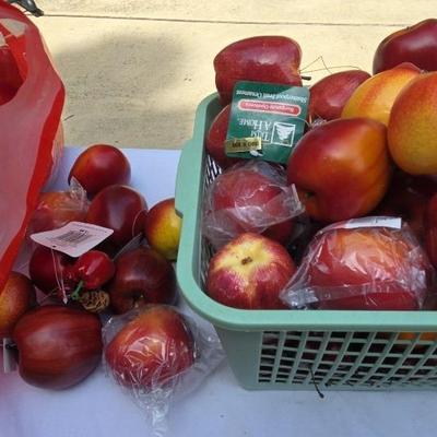 Artificial Fruit