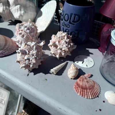 Sale Photo Thumbnail #506
