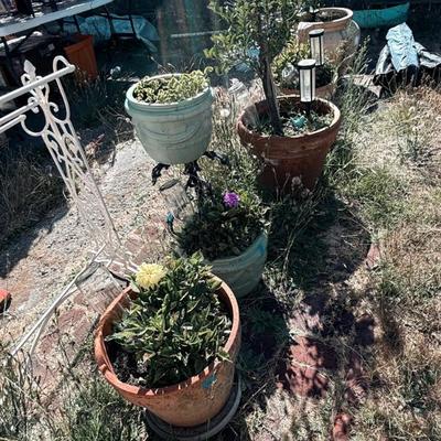 Sale Photo Thumbnail #475