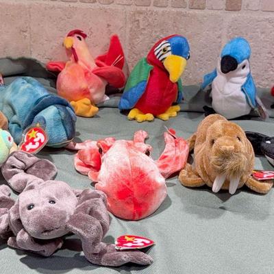Assortment of  Bird, Sea Life, and Reptile Beanie Babies